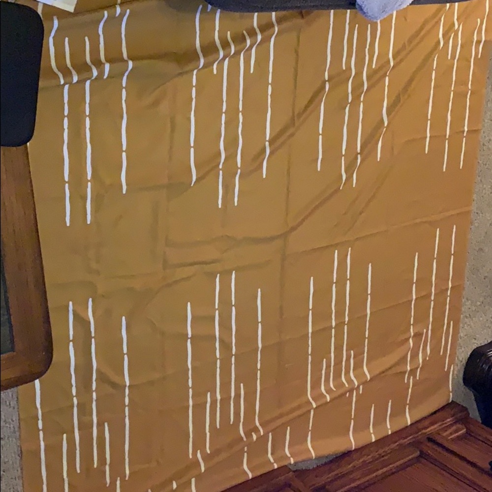 Shower curtain